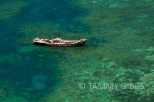 TammyGibbs-11206-web