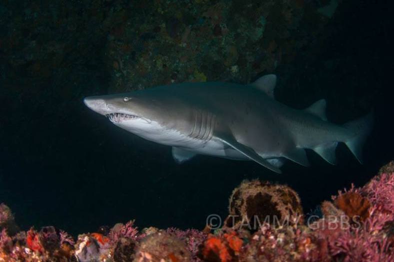 10449964_10152549499523993_8701220621838089646_n