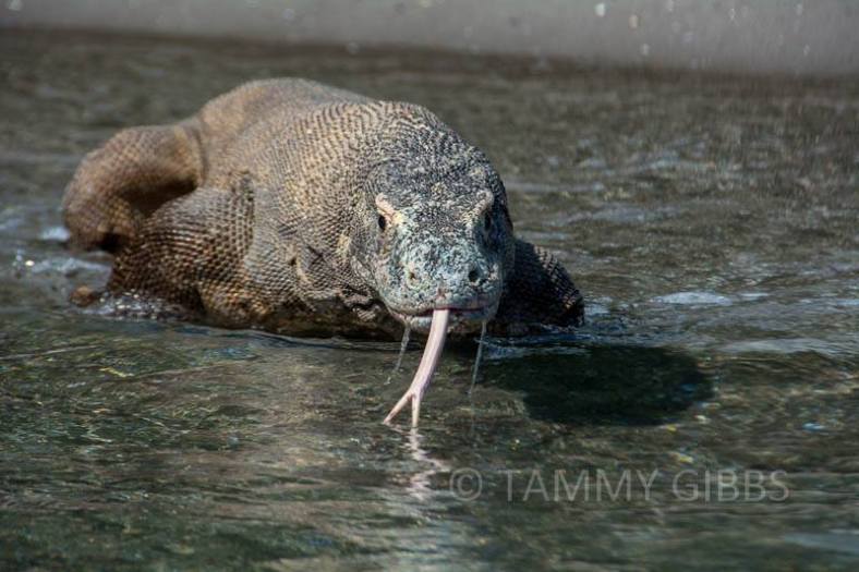 1937448_10152612334448993_136401408661186598_n