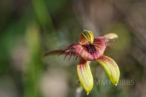 10568935_10152711594553993_7798888584046478019_n