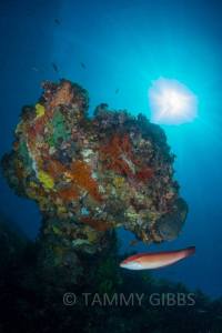 10422202_10153005749868993_7621989173911629309_n