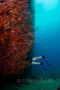 10885215_10153013126613993_4309226739030485183_n