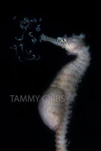 10959746_10153144496928993_383965584799245838_n